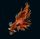 petanker's Avatar