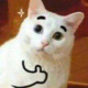 Maxsetting's Avatar