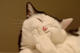 Manuvn's Avatar