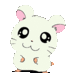cobehayqueen's Avatar