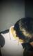 AdamLevine_9x's Avatar