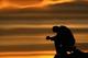 day_la_nick_voz's Avatar