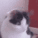 namthienminh's Avatar