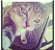 prince_dark's Avatar