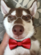 thuonggianhaga's Avatar