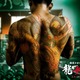 van_li_doc_hanh's Avatar