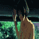 i dont give a fuck's Avatar