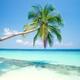 ngoduan93seller's Avatar