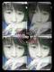 Little Apple's Avatar