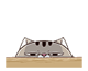 Demacia2214's Avatar