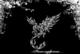 seifer2412's Avatar