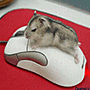 minhtuan214's Avatar