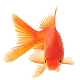 truongson's Avatar