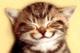 boy1288's Avatar