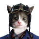 tolaind's Avatar