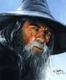 amater_pt's Avatar