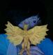 Mr_Kinara's Avatar