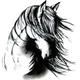 nguahoang's Avatar