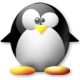 canhcutnamphi's Avatar