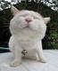 huy.bom91's Avatar