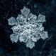 Eternal Winter's Avatar