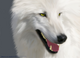 soibien1987's Avatar