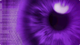 niki123's Avatar