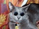 _g8_'s Avatar