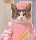 hello kitty's Avatar