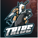 khanhnghe's Avatar