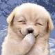 xjNkzAjNo1's Avatar