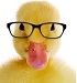 oppa's Avatar