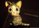 steven_control's Avatar