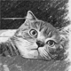vuluc88's Avatar