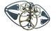 spirit_coder's Avatar