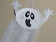 fanfan Home's Ghost's Avatar