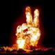 perboy's Avatar