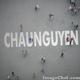 chaunguyen0101's Avatar