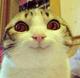 dimchicken's Avatar
