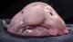 lunmap's Avatar