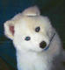 EvilLuka's Avatar