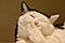 Manuvn's Avatar