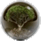 pdhai's Avatar