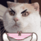 chaibia's Avatar