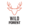 WildForest's Avatar