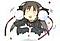 Gassu's Avatar