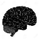 Pharmacist's Avatar