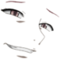 wanbee's Avatar