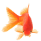 truongson's Avatar