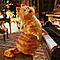 GarfieldCat's Avatar